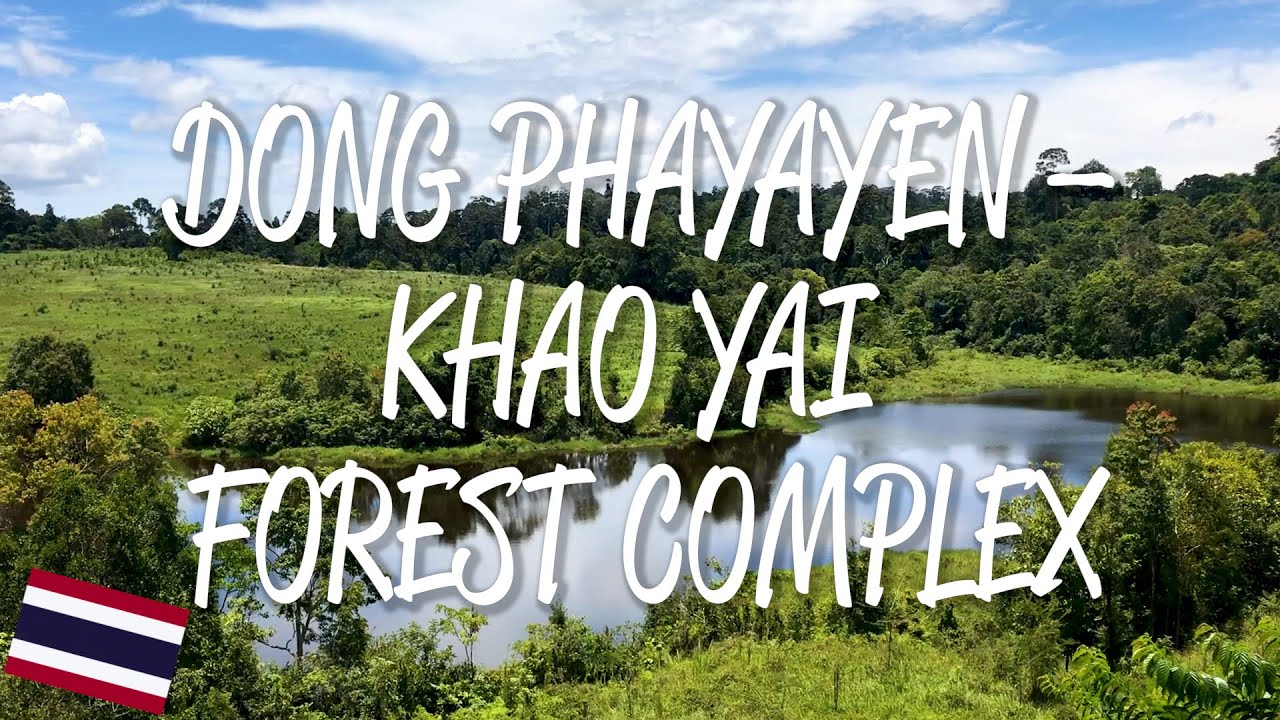 Phuying Yai Jang Khao รีวิวหนัง