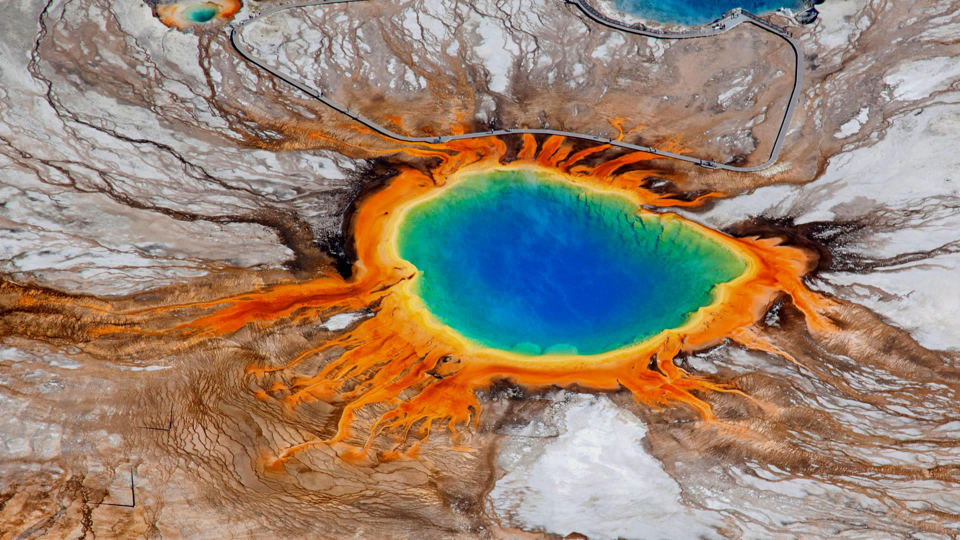 Yellowstone รีวิวหนัง